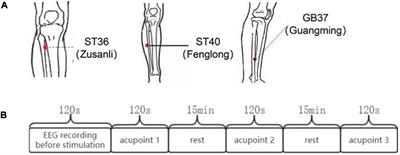 Electroencephalogram Analysis of Magnetic Stimulation at Different Acupoints